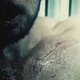 Image for article titled Batman v Superman: Spoiler FAQ of Justice